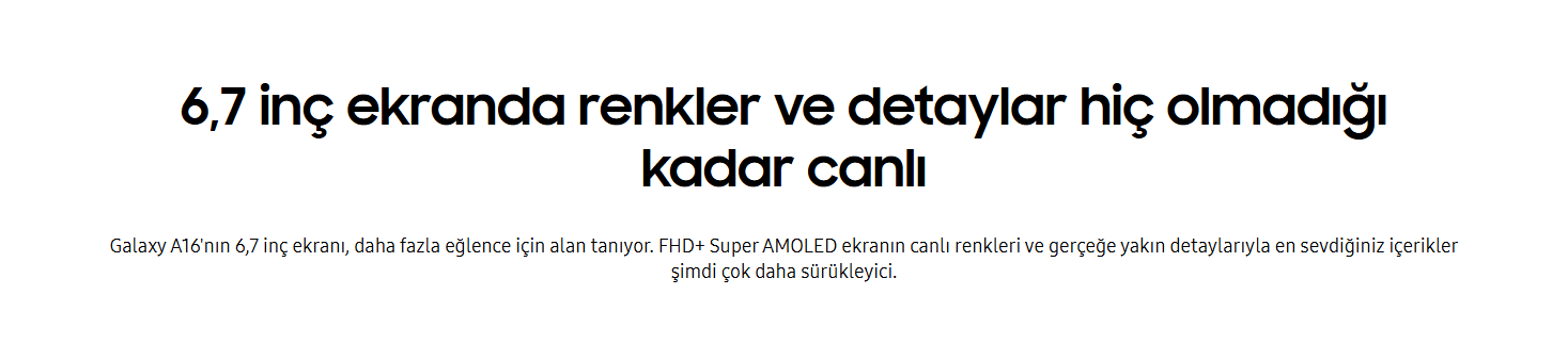 Ekran görüntüsü 2025-04-11 174855.png (29 KB)