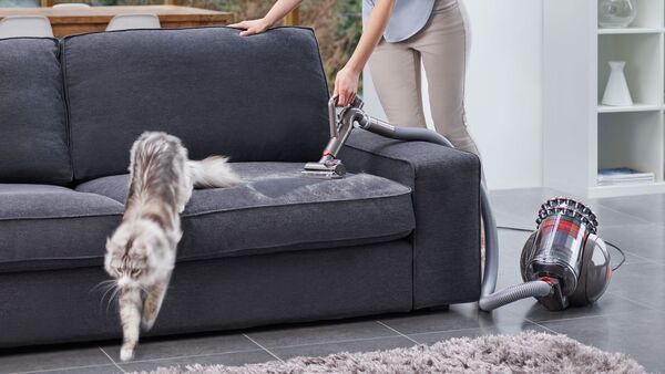 Dyson Cinetic Big Ball Absolute 2 Toz Torbasız Süpürge (Dyson Türkiye Garantili)