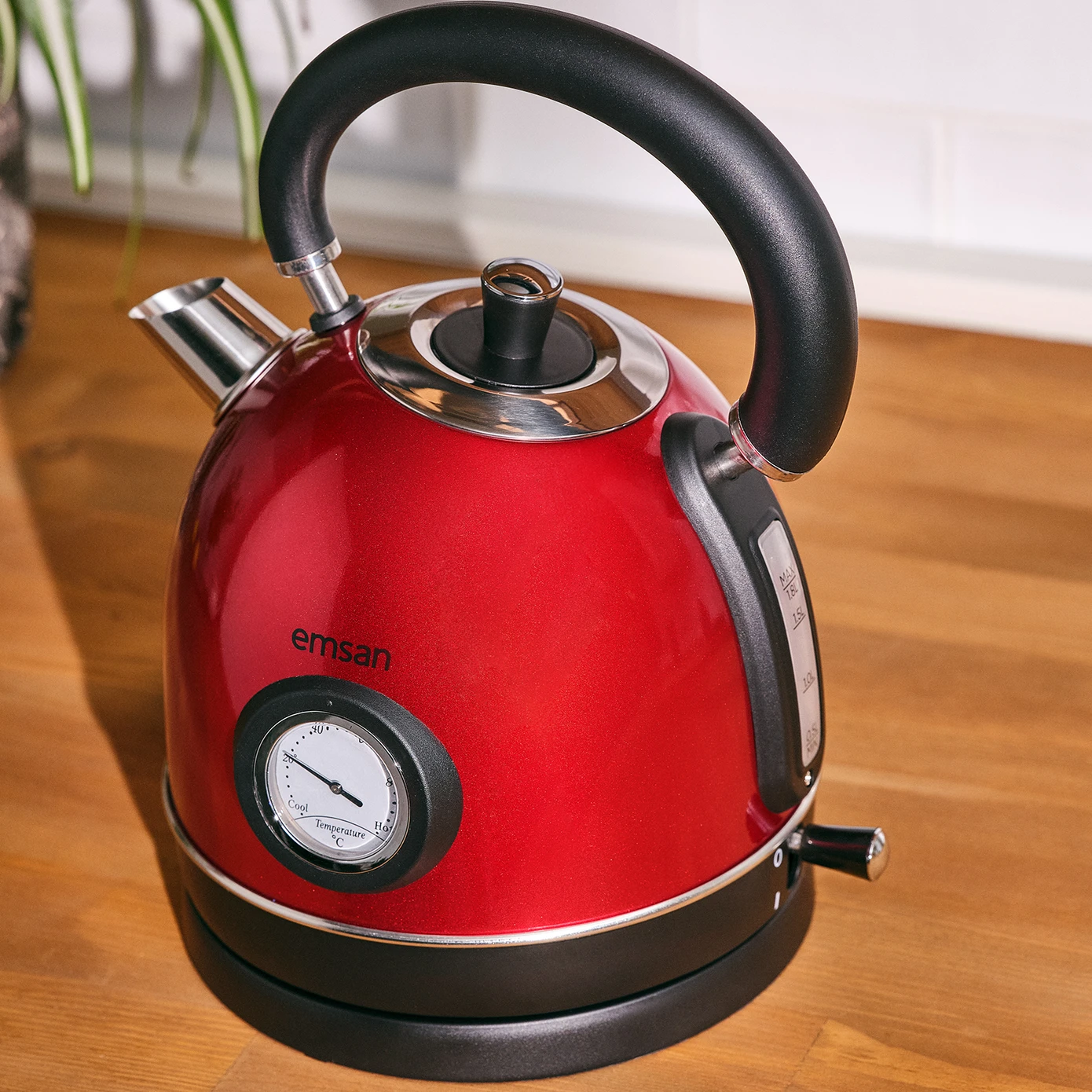 Emsan Turtle Kettle Red - Thumbnail